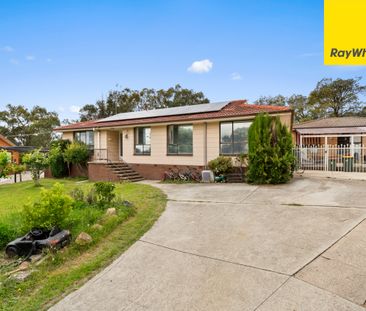 6 Mann Place, Higgins ACT 2615 - House For Rent | Domain - Photo 4