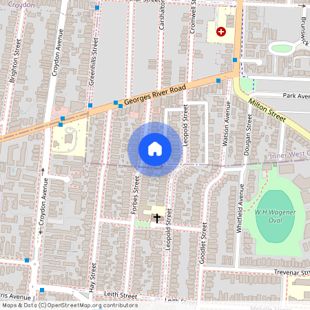 20A Forbes Street, NSW 2133, Croydon Park