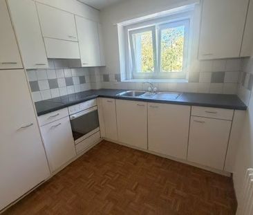2 Zimmer, EG - Photo 5