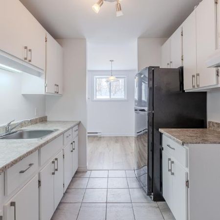 Appartement 3 ½ à louer Lévis juillet 2026 - Photo 4