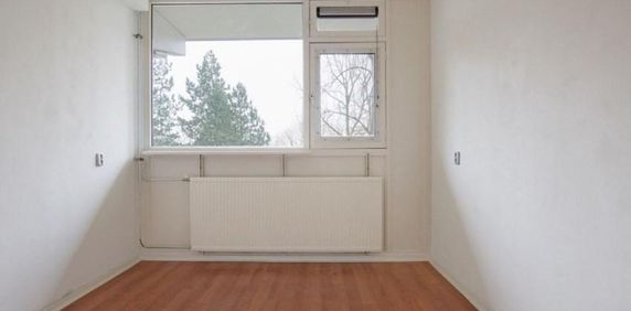 Spuikreek, 3079 Rotterdam, Nederland - Photo 2