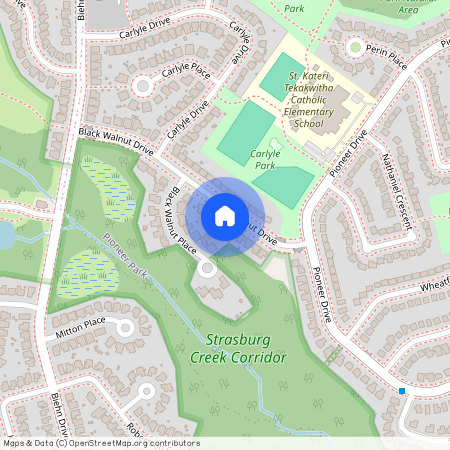 38 Black Walnut Drive, Kitchener