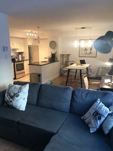 Superbe grand 3 1/2 style condo Ste-Foy Air Clim, Libre - Photo 5