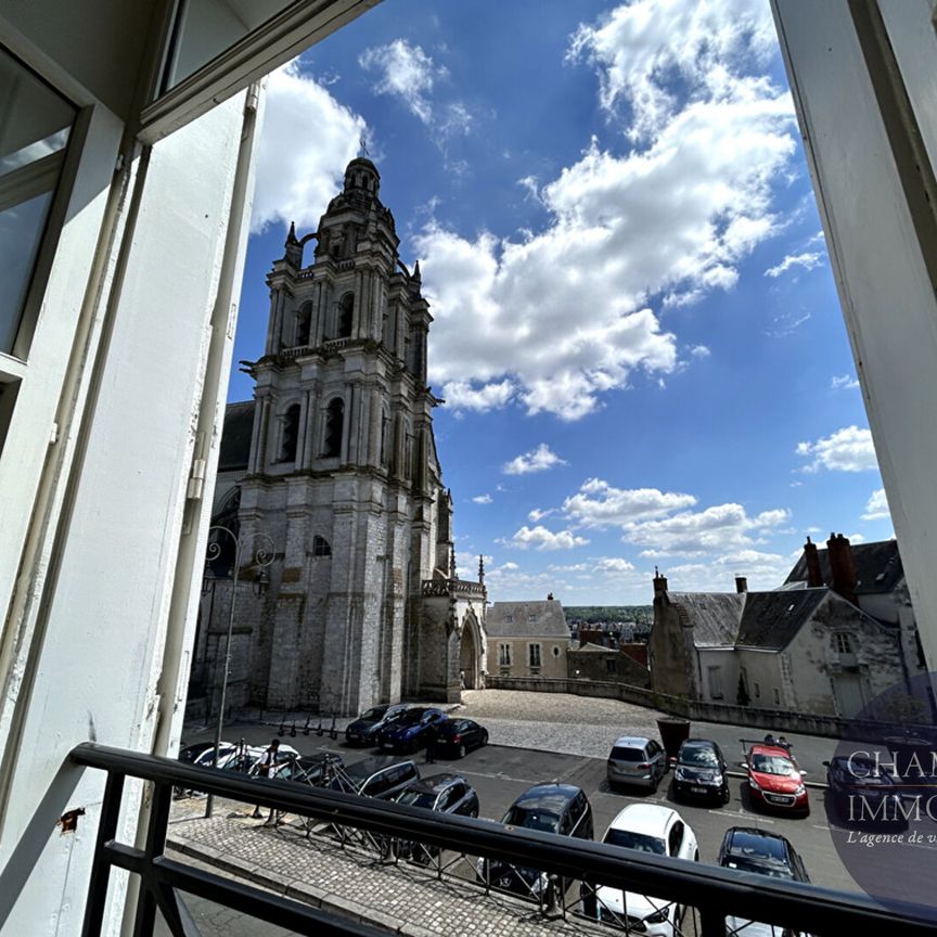 Appartement coup de coeur cathédrale - Photo 1