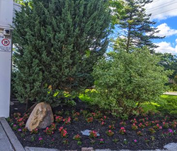 Markham Village - 5667 Hwy 7 - Photo 4