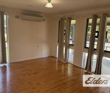 14 Peter Street - Photo 4