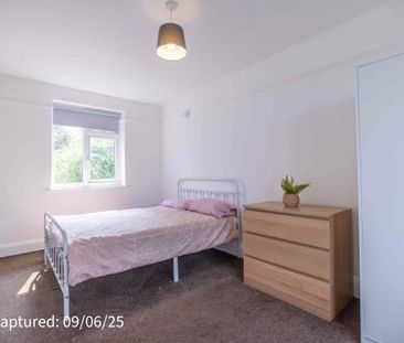 23 Alwyne Drive - Photo 4