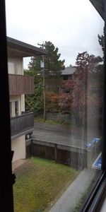 1BR Marpole - Photo 4