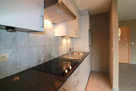 Duplex met 2 grote slpk, zuidterras, nabij station - Foto 4