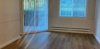 * BEAUTIFUL ONE BEDROOM PLUS DEN * PET FRIENDLY * STORAGE LOCKER * PARKING * - Photo 2