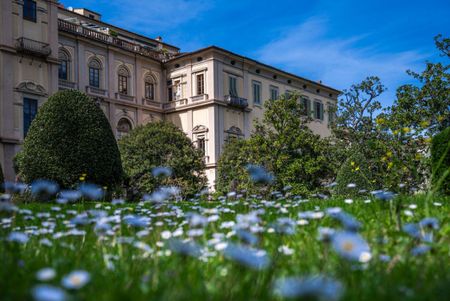 Hidden Gem in the park - Photo 3