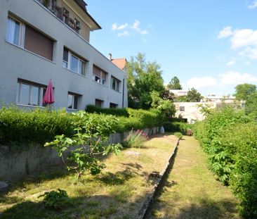 3.5 Zimmer, EG - Photo 3