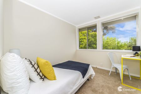 84 Serpentine Street, Duffy ACT 2611 - House For Rent | Domain - Photo 4