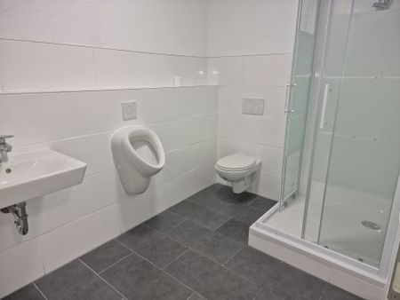 Behindertengerechte Erdgeschosswohnung in 97523 Schwanfeld zwischen Würzburg und Schweinfurt (ID 1354) - Photo 5