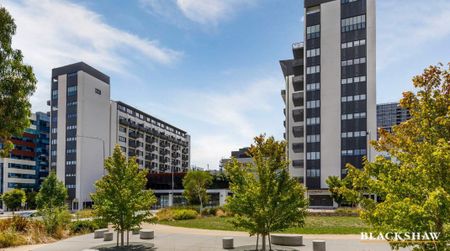 409/35 Furzer Street, Phillip ACT 2606 - Apartment For Rent | Domain - Photo 5