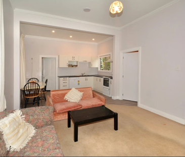 14 Montrose Street, North East Valley - Photo 2