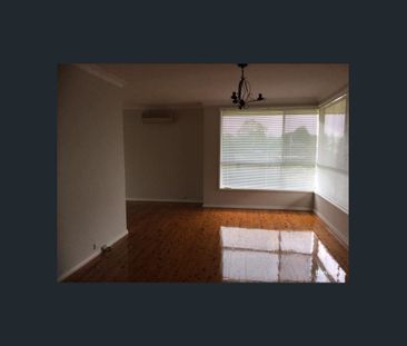 Charming Three-Bedroom Family Home on a Corner Block - Photo 1
