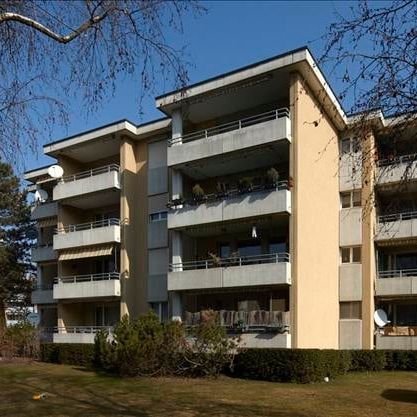 "Herbsttage auf dem sonnigen Balkon verbringen?" - Photo 3