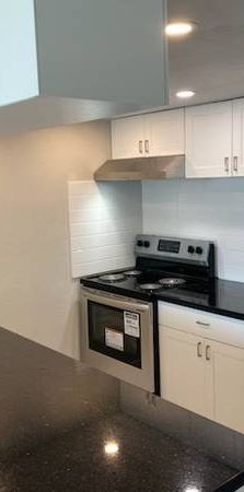 Newly Renovated Two Bedroom Suite for Rent - Photo 1