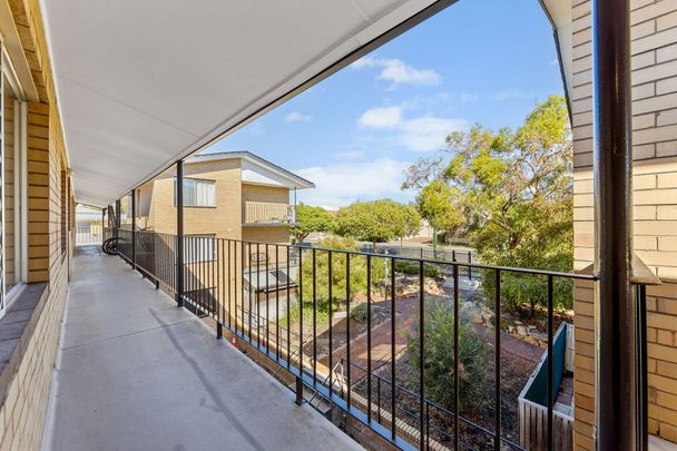 Freshly Renovated Top-Floor Retreat in Leafy Maylands - Photo 1