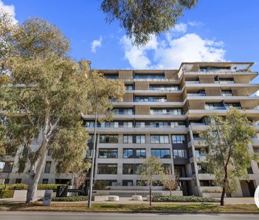 44/217 Northbourne Avenue, Turner ACT 2612 - Apartment For Rent - $... - Photo 3