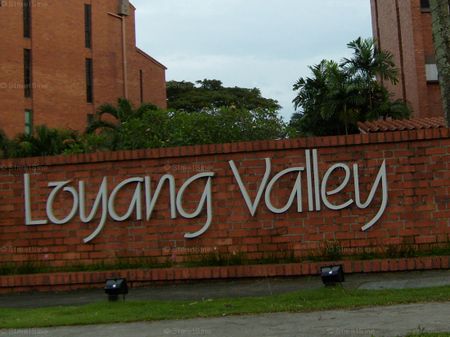 Loyang Valley (D17), Condominium - For Rent - Photo 4