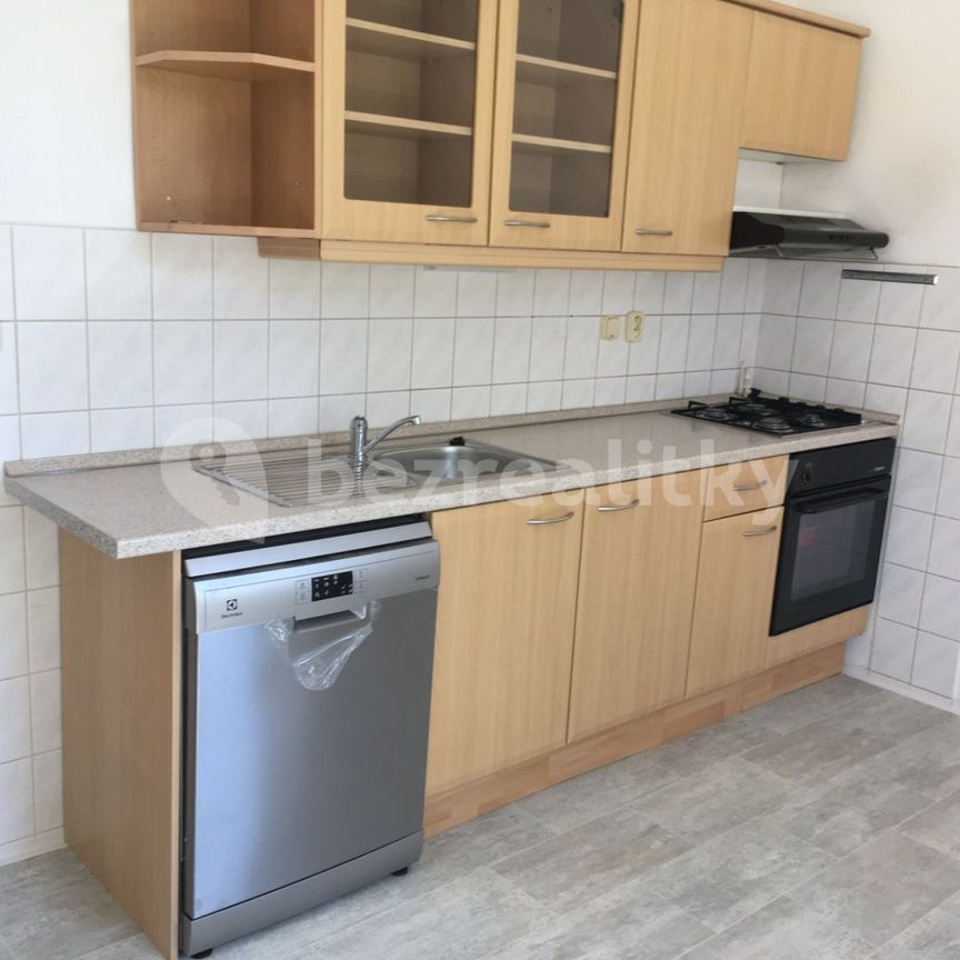 Pronájem bytu 1+1 • 47 m² bez realitkySarajevská, Praha - Vinohrady - Photo 1