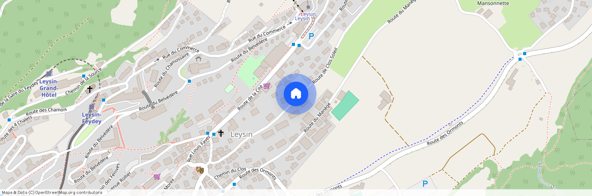 1854, Leysin, Route De Clos-Soleil