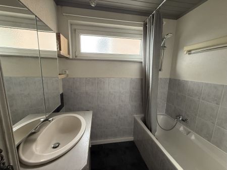 Location Appartement 3 pièces 70m² ALTKIRCH 68130 - Photo 2