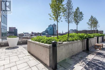 For Lease - 85 Duke Street Unit# 110, Kitchener, Ontario - Photo 2