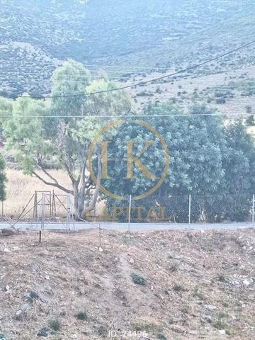 Μεζονέτα για ενοικίαση Αίγλη (Γλυφάδα) - Photo 3