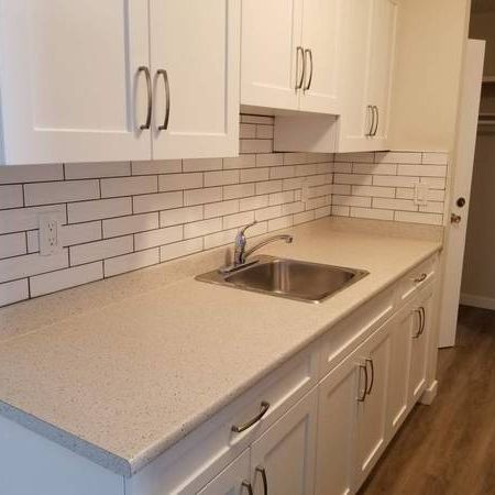 Beautiful Renovated 2 Bedroom Apartment Available - August 15th! - Photo 3