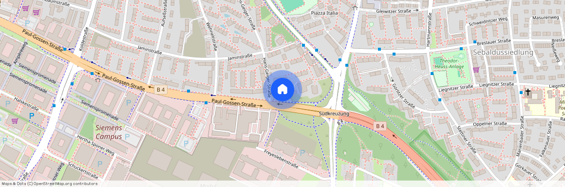 Paul-Gossen-Str. 113, 91052, Erlangen
