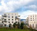 WirtschaftseinheitBADEN-LEESDORF I/1-5 - Photo 4