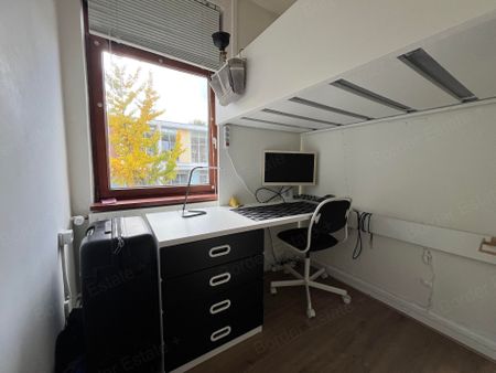 Te huur: Kamer Hunnenweg in Maastricht - Foto 4