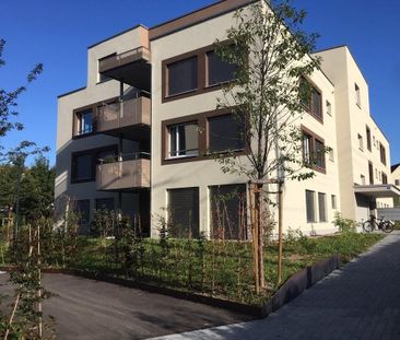Wohnen zwischen Zürich und Zug - Foto 5