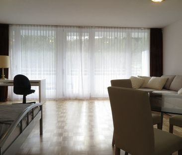 Fully furnished, bright 50 m², parquet flooring, large sunny balcon... - Foto 1