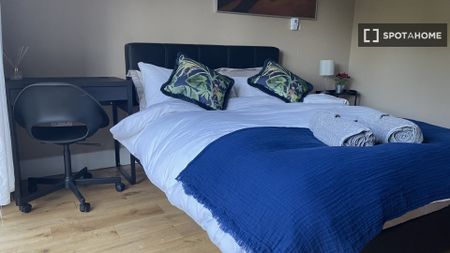 Studio apartment for rent in Dublin - Photo 4