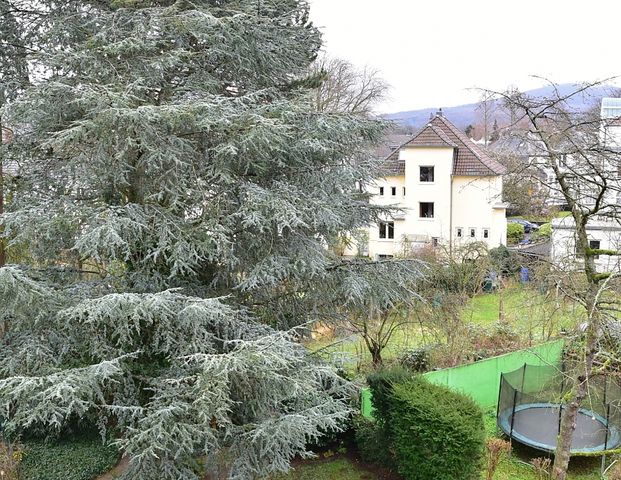 Bonn Villenviertel - helle Balkonwohnung in Rheinnähe - Video online - Foto 1