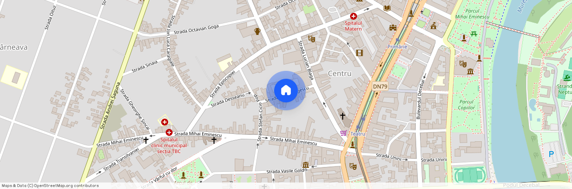 Strada Aviator Georgescu, Centru, Arad, Arad
