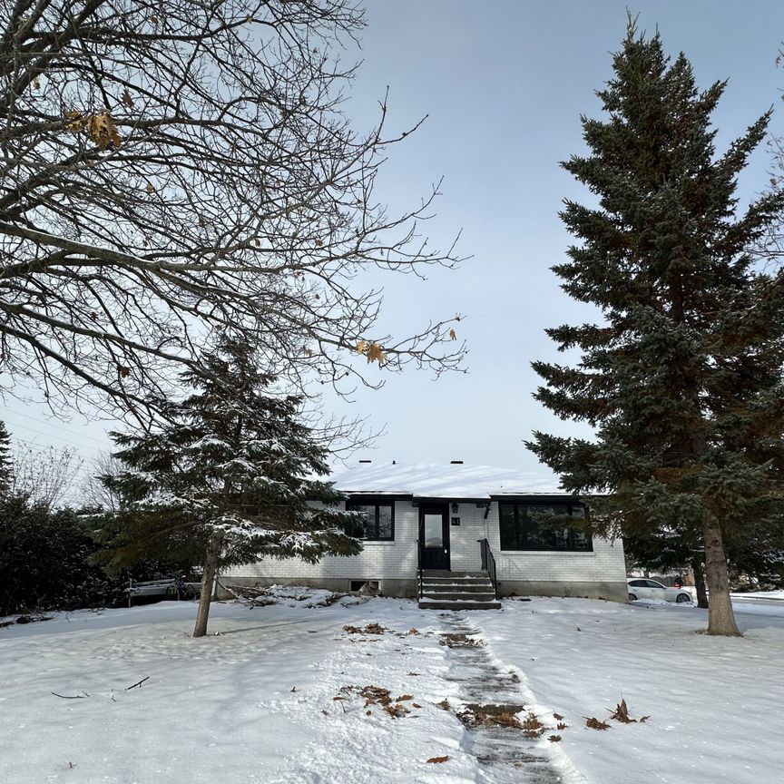 For Lease - 41 FIELDROW Street, Meadowlands - Crestview and Area, Ontario - Photo 1