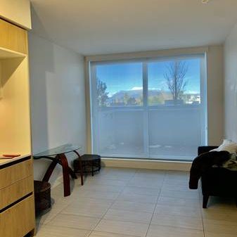 Vancouver Joyce area 1bed1bath A/C Apt - Photo 3