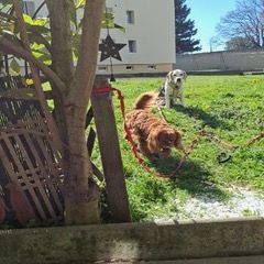 Appartement de 2 pièces avec terrasse - Photo 2