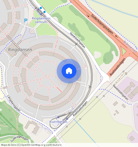 Silverringen **, Ringdansen