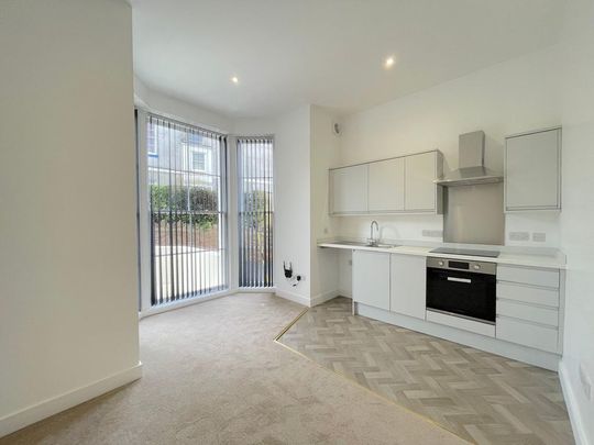 1 bedroom ground floor flat to rent - Photo 1
