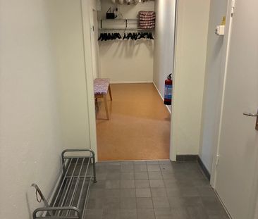 Näckrosvägen, Umeå - Photo 2