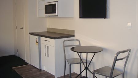 Furnished Studio Unit - Photo 4