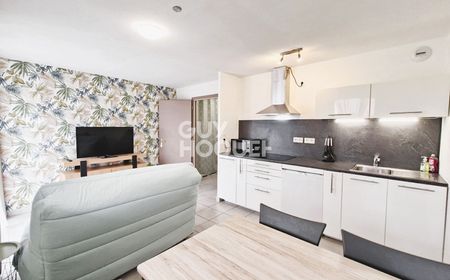 Location Appartement 1 pièce 26m² - Photo 4