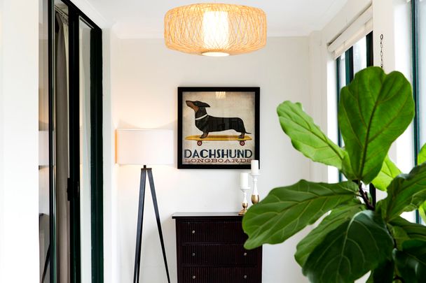 5/156-164 Chalmers Street, Surry Hills NSW 2010 - Apartment For Rent | Domain - Photo 1