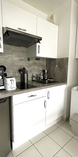 Location Appartement 1 pièce 28m² PALAISEAU 91120 - Photo 1